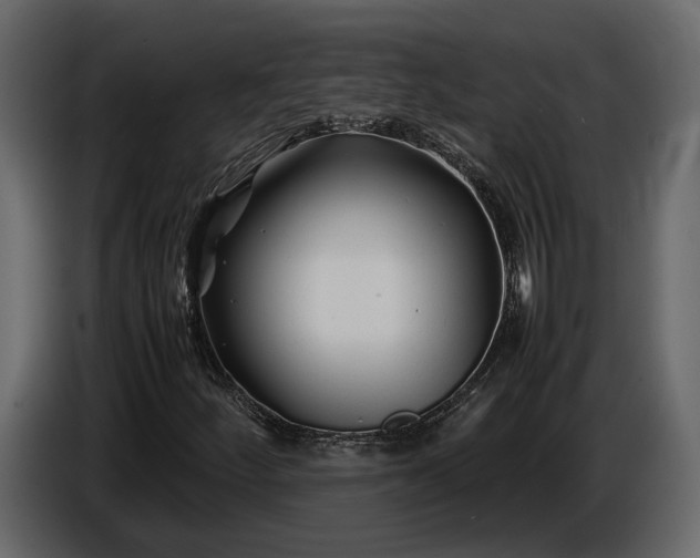 X0000086961252200705071329