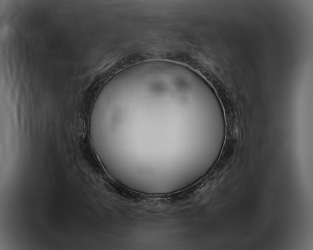 X0000086961253200705071329