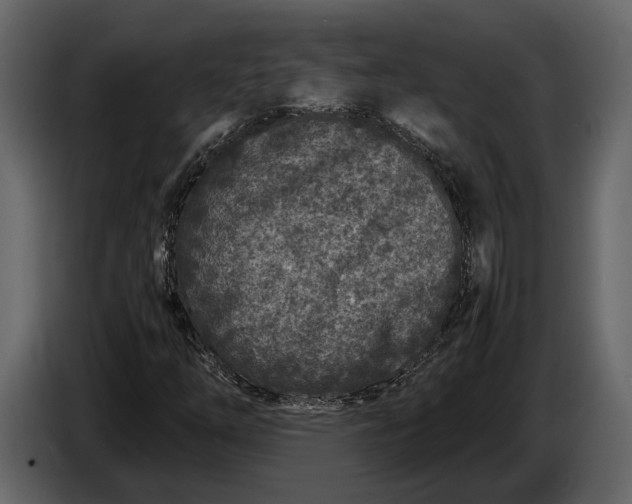 X0000086961254200705071329