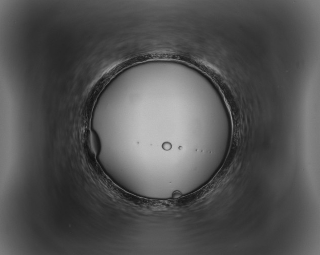 X0000086961255200705071329