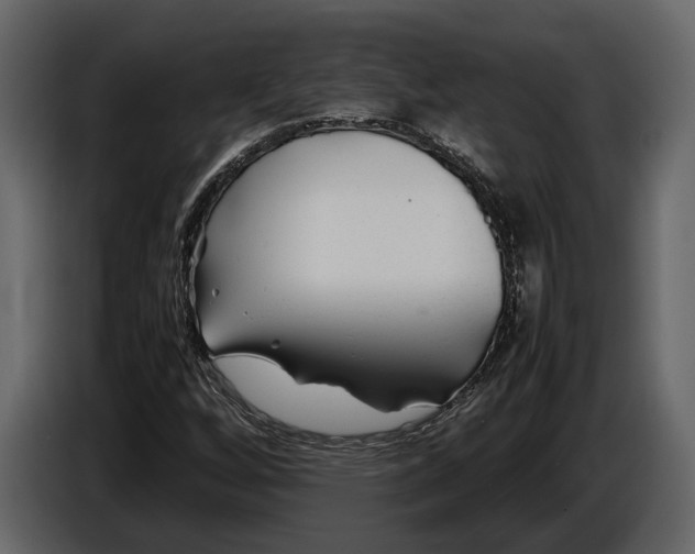 X0000086961256200705071329
