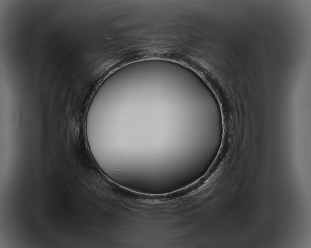 X0000086961257200705071329