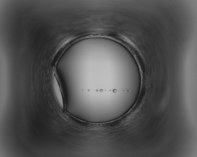 X0000086961259200705071329