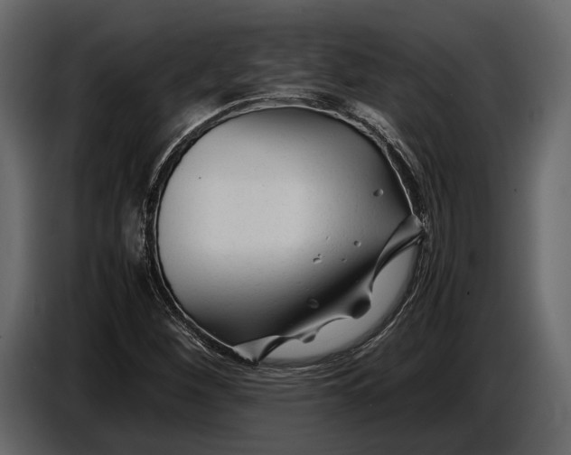 X0000086961260200705071329