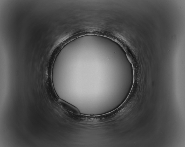 X0000086961261200705071329