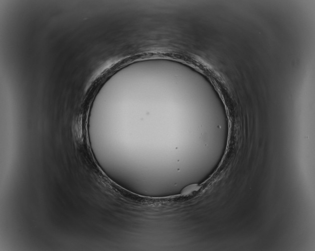 X0000086961262200705071329