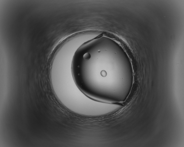 X0000086961263200705071329