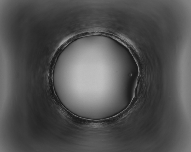 X0000086961264200705071329