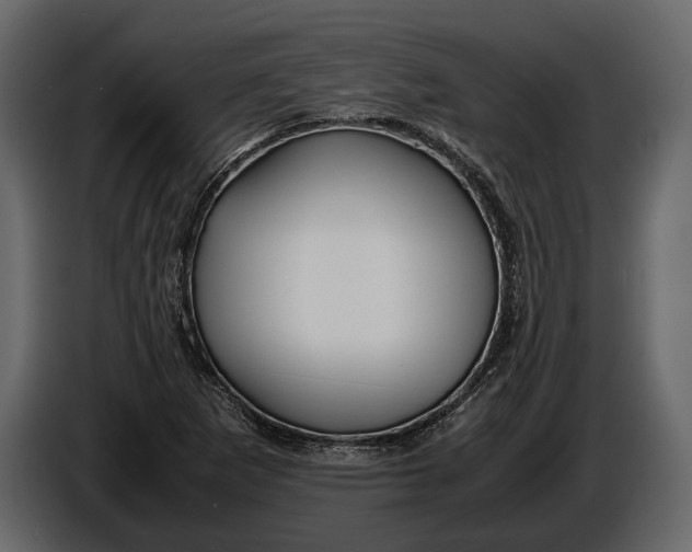 X0000086961265200705071329