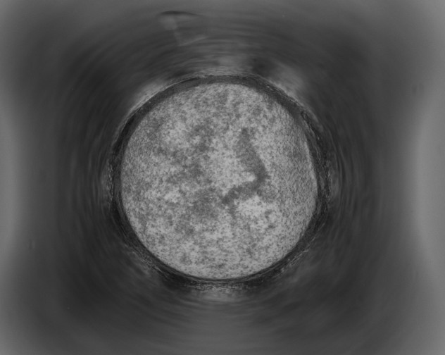 X0000086961266200705071329