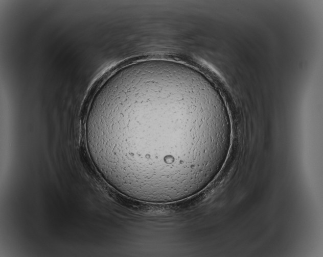 X0000086961267200705071329