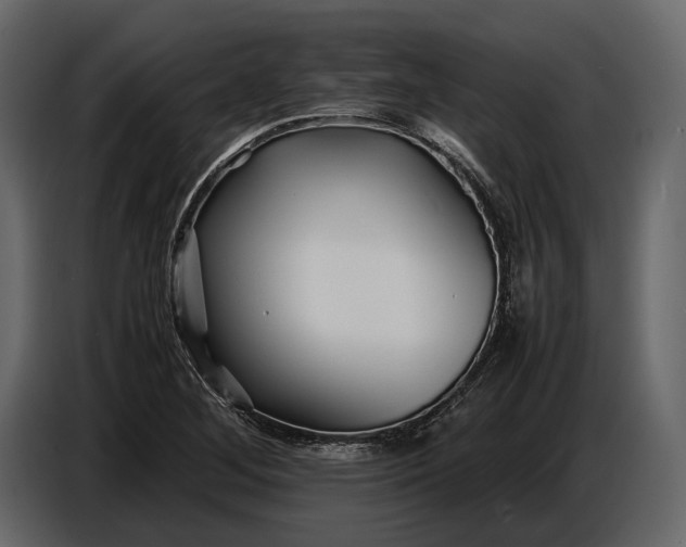 X0000086961268200705071329
