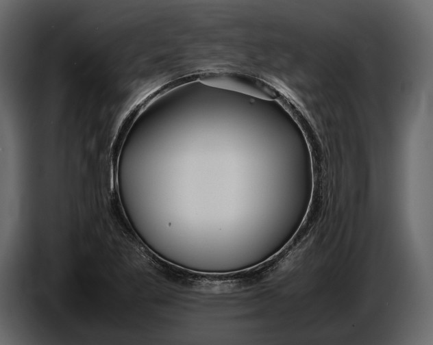 X0000086961269200705071329