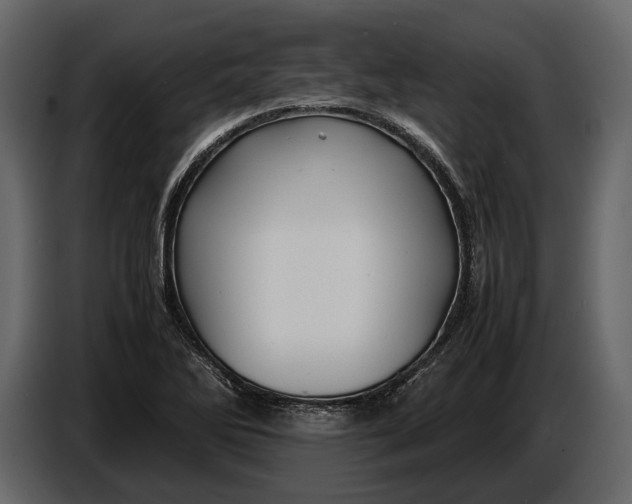 X0000086961270200705071329