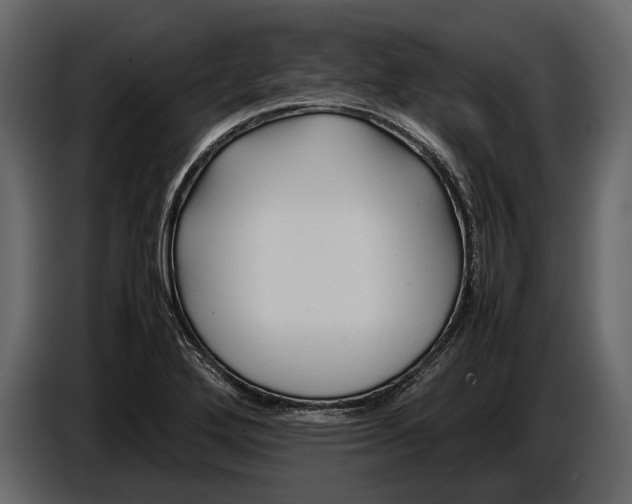 X0000086961272200705071328