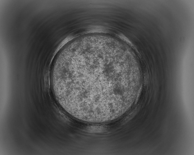 X0000086961274200705071328