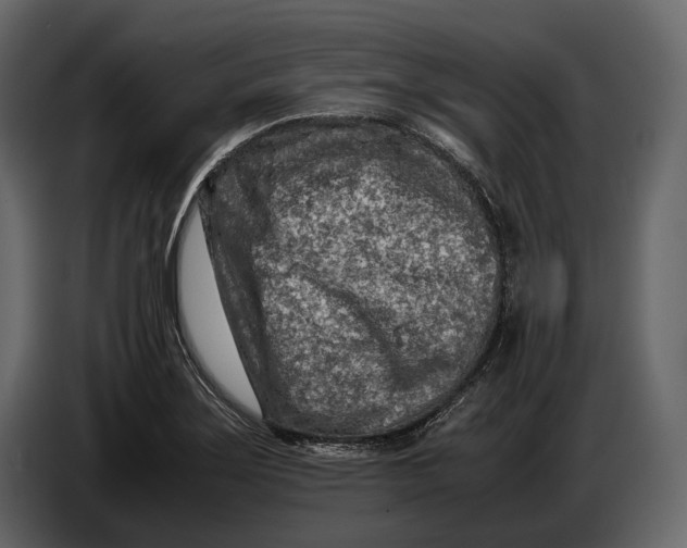 X0000086961275200705071328