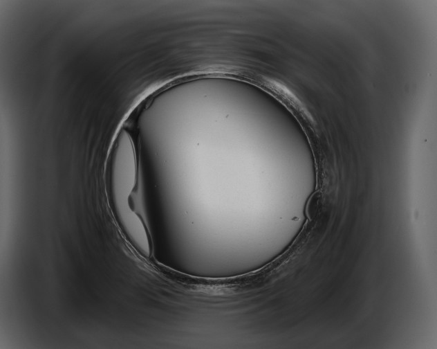 X0000086961276200705071328