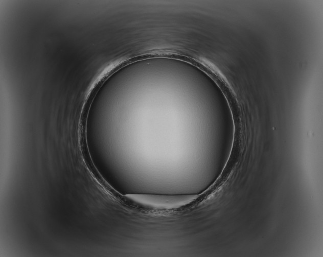 X0000086961277200705071328