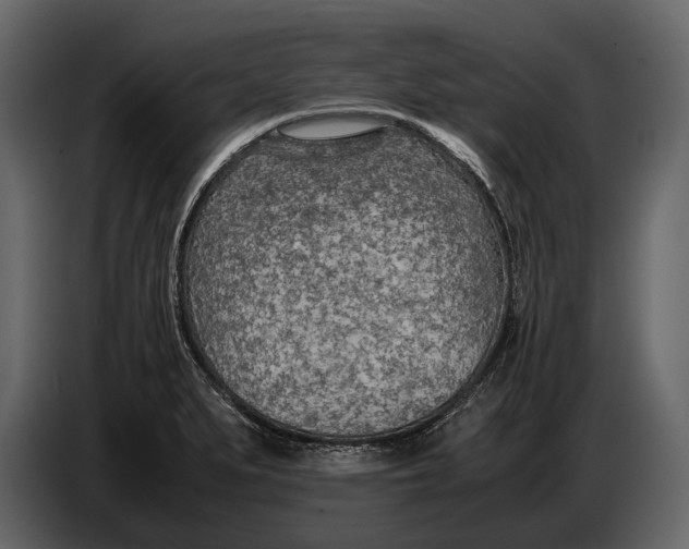 X0000086961279200705071328