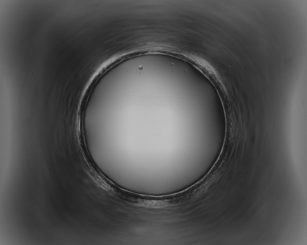 X0000086961280200705071328