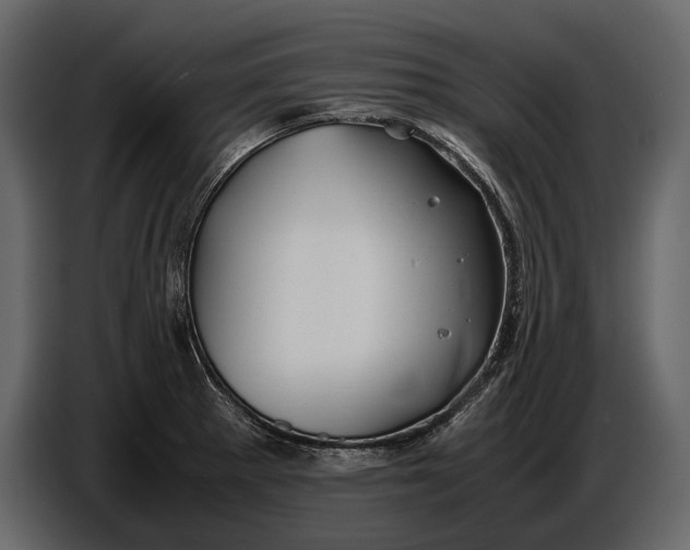 X0000086961281200705071328