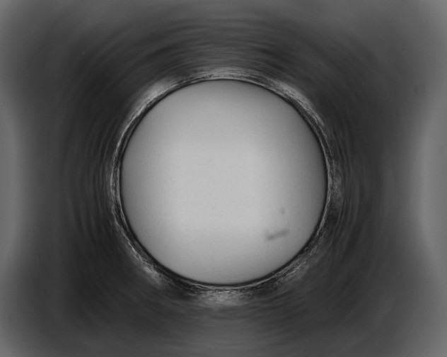 X0000086961282200705071328