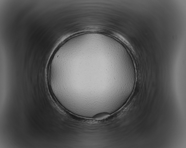 X0000086961283200705071328