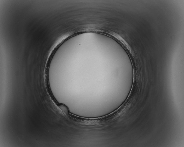 X0000086961285200705071328