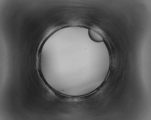 X0000086961286200705071328
