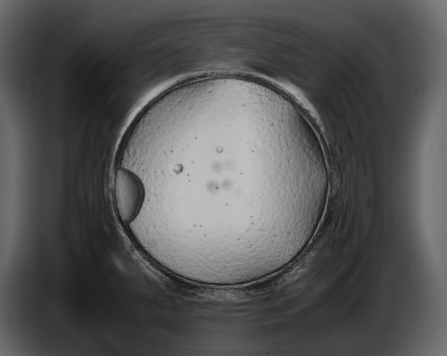 X0000086961287200705071328