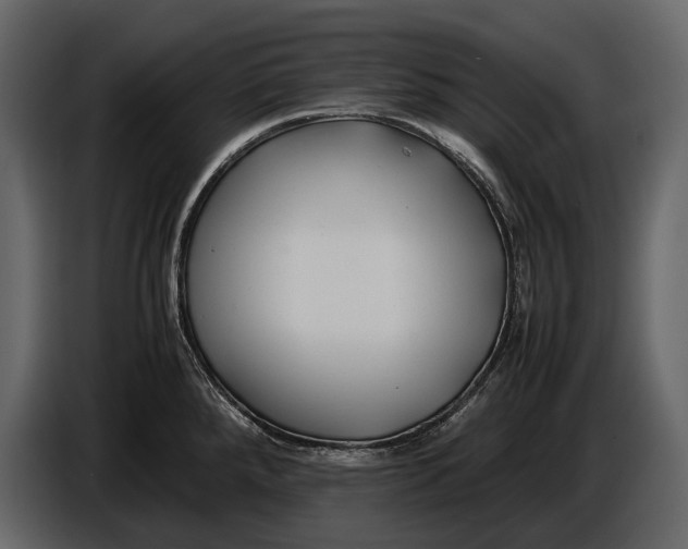 X0000086961288200705071328