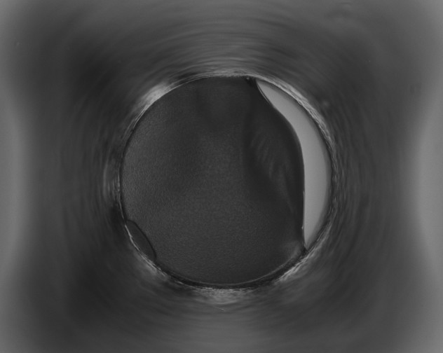 X0000086961289200705071328
