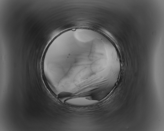 X0000086961291200705071328