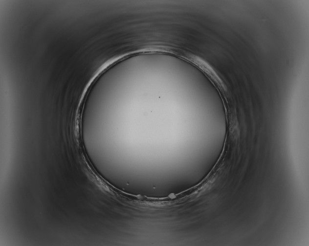 X0000086961292200705071328