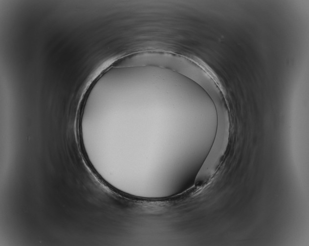 X0000086961293200705071328