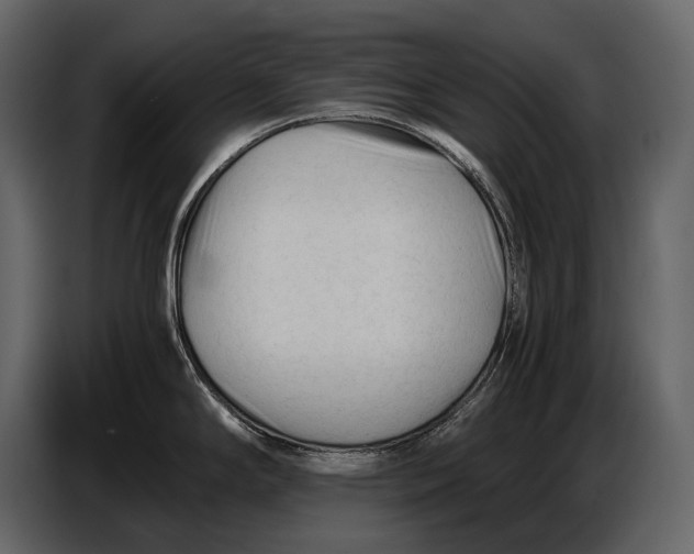 X0000086961294200705071328