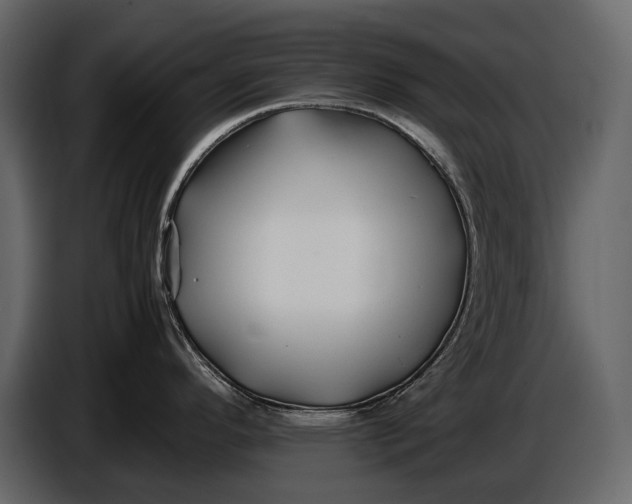 X0000086961296200705071328