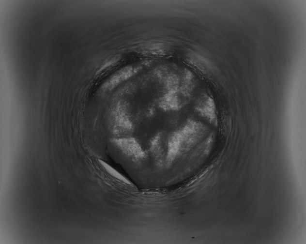 X0000086961297200705071328