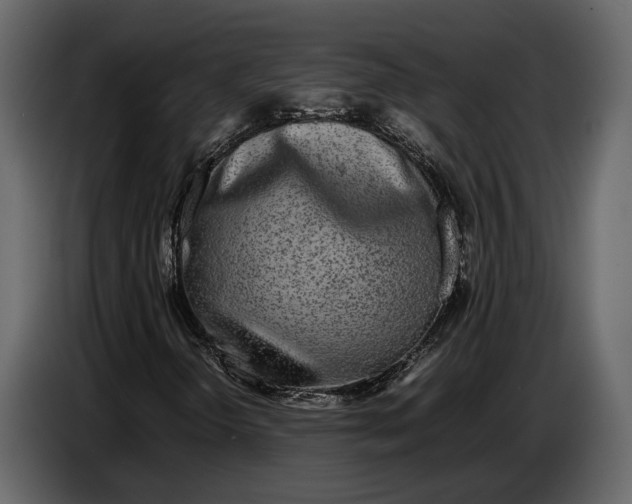 X0000086961298200705071328