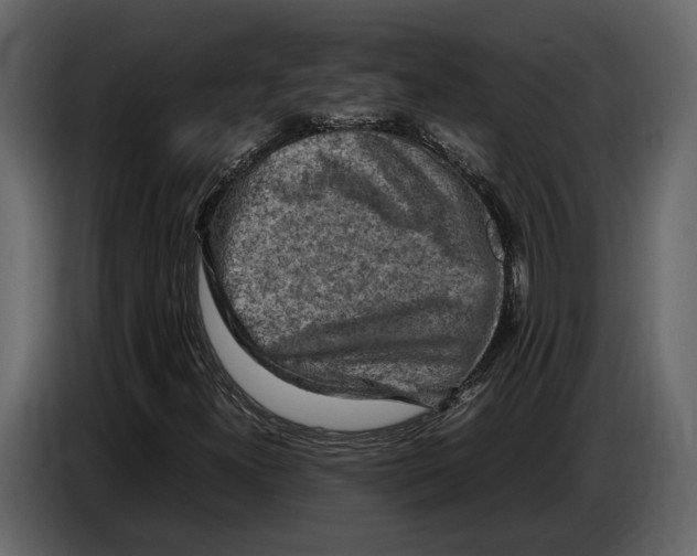 X0000086961300200705071328