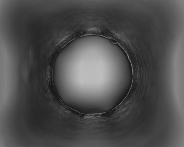 X0000086961301200705071328