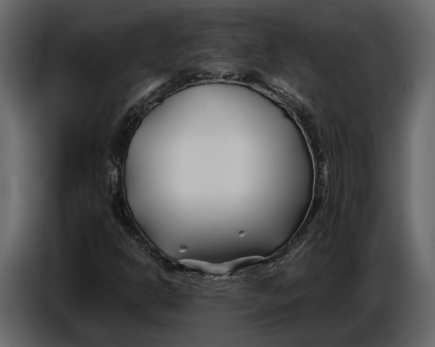 X0000086961302200705071328