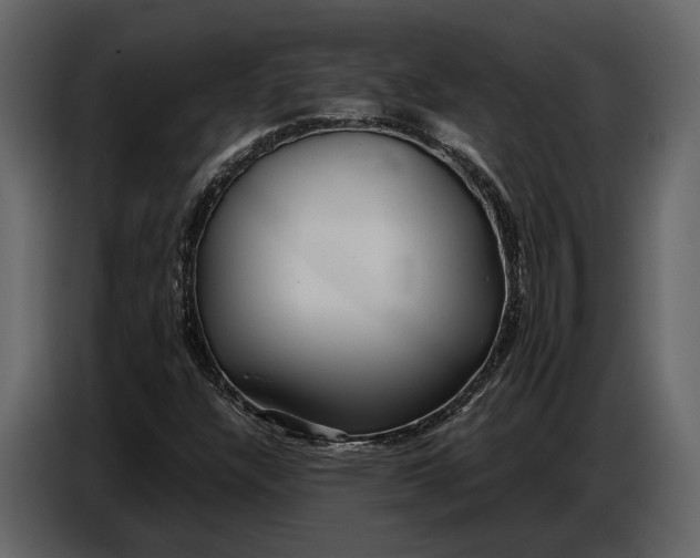 X0000086961304200705071328