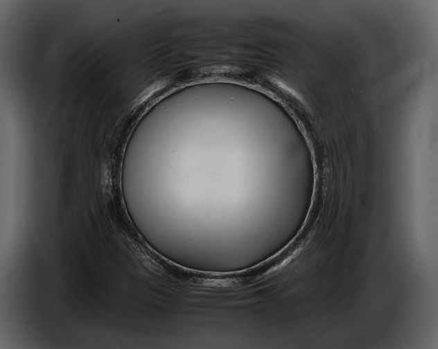 X0000086961305200705071328