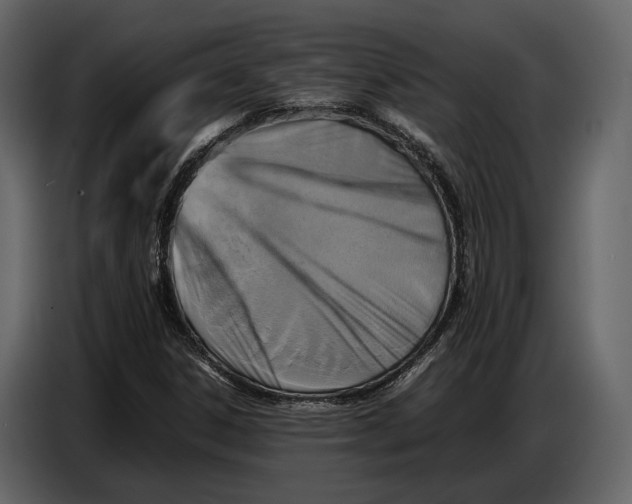 X0000086961306200705071328
