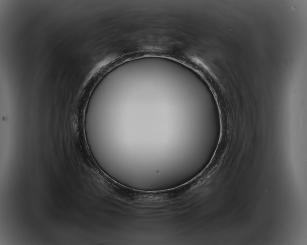 X0000086961307200705071328