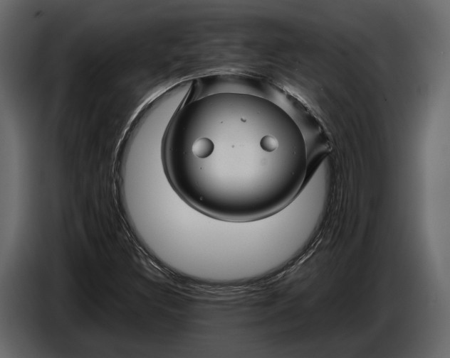 X0000086961308200705071328