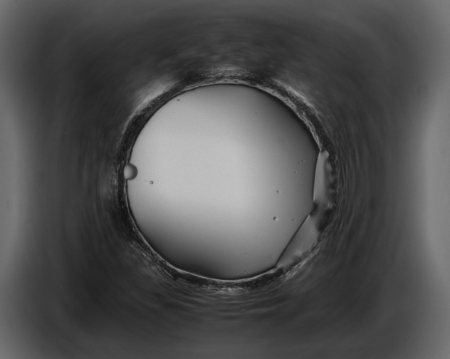 X0000086961309200705071328