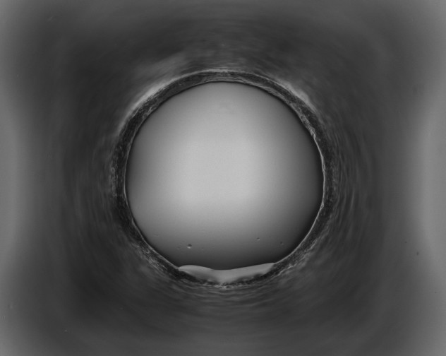 X0000086961311200705071328
